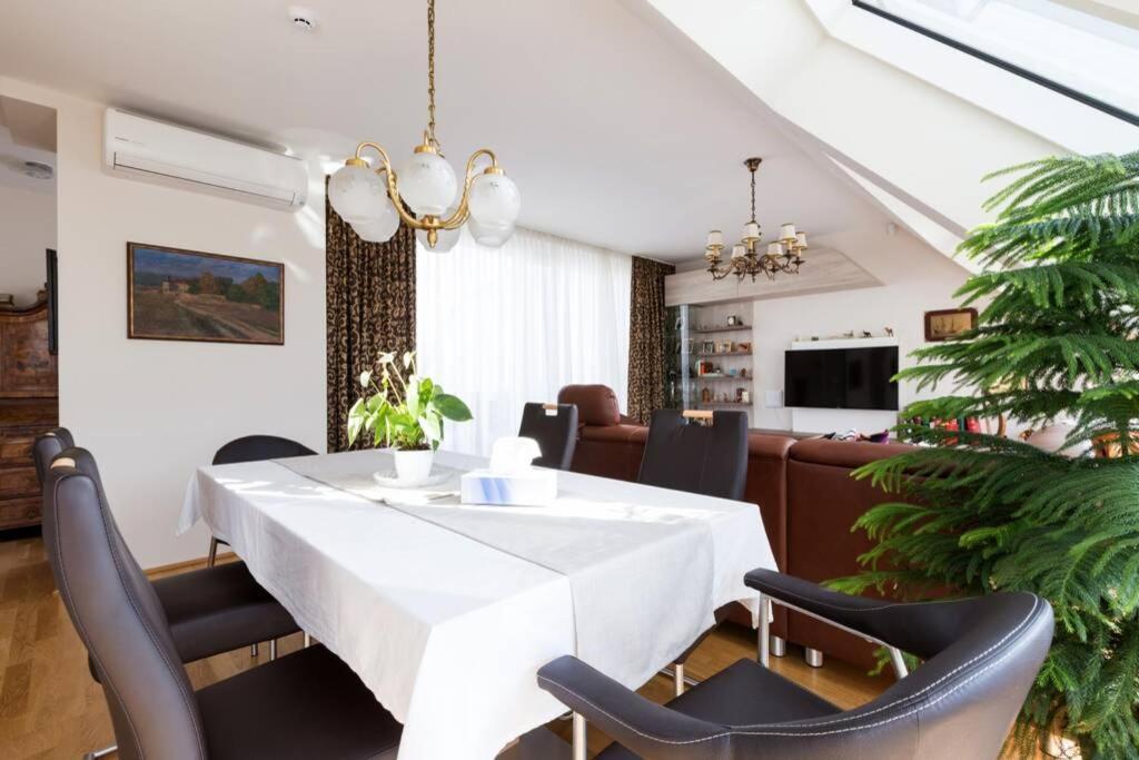 Grosses Penthouse #12 Mit Terrasse Und Aussicht Daire Viyana Dış mekan fotoğraf